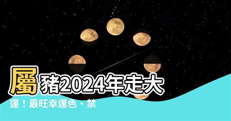 屬豬幸運色2024|【屬豬 顏色】速查2024屬豬運勢指南：幸運色、財位、禁忌